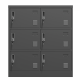 6-Door Employee Storage Locker, Metal Lockers for Office, Gym, School, and Homewith Card Slot (Black)