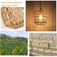 Plug in Pendant Light with LED Bulb, Rattan Hanging Lamp with 16ft Dimmable Cord, Hand Woven Wicker Plug in Chandelier, Boho Hanging Lights Fixture with Plug in Cord for Bedroom Hallway Foyer