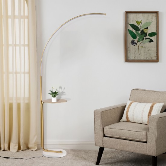 12W LED Floor Lamp, Standing Lamp Tall Industrial Floor Lamp Reading for Bedroom, Office ,Gold Color