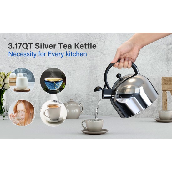 Stainless Steel Whistling Tea Kettle, 3.17 Quart, Teapot for Stove top with Wide Mouth, Easy Pouring Spout and Ergonomic Handle, Silver