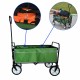 Folding Wagon Garden Shopping Beach Cart (Green)