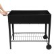 Mobile Metal Raised Garden Bed Cart with Legs, Elevated Tall Planter Box with Wheels for Outdoor Indoors House Patio Backyard Vegetables Tomato DIY Herb Grow Black