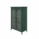 2 Doors Metal Storage Cabinet,Display Cabinet with Glass Doors,Metal Kitchen Sideboard Buffet Cabinet,Glass Storage Cabinet for Dining Room,Living Room,Bedroom