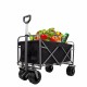 Outdoor Garden Park Utility kids wagon portable beach trolley cart camping foldable with big wheels folding wagon