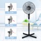 2-Pack Oscillating 16″ 3 Adjustable Speed Pedestal Stand Fan for Indoor, Bedroom, Living Room, Home Office & College Dorm Use, 16 Inch, BlackOffice & College Dorm Use, 16 Inch, Black