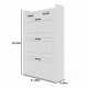 Shoe Storage Cabinet for Entryway, Hidden Shoe Cabinet with 3 Doors 2 Drawers Slim Shoe Cabinet, Freestanding Shoe Organizer Rack for Entryway, Apartment White