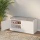 Shoe Storage Bench with 2 Door Cabinet, Entryway Bench with Shoe Storage, Shoe Bench with Cushion, Adjustable Shelves, Shoe Rack Bench for Entrance, Hallway, Bedroom, White+Gray