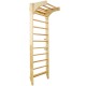 Wooden Swedish Ladder, Stall Bars Set for Physical Therapy & Gymnastics (with Adjustable Pull-up Bar)