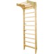 Wooden Swedish Ladder, Stall Bars Set for Physical Therapy & Gymnastics (with Adjustable Pull-up Bar)